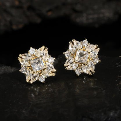 Zircon Women's Fashion High Class Elegant Special Interest Earrings
